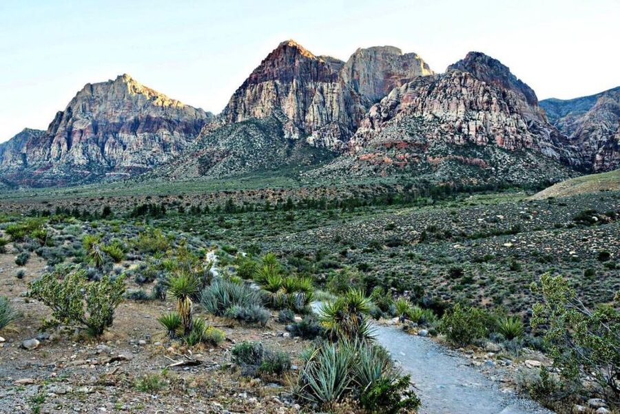 Red Rock Canyon Sign& Seven Magic Mountains Tour - Is $250 per person good value?