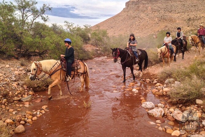 Red Rock Canyon Sunset Horseback Ride and Barbeque Dinner - Is $199 a fair price?