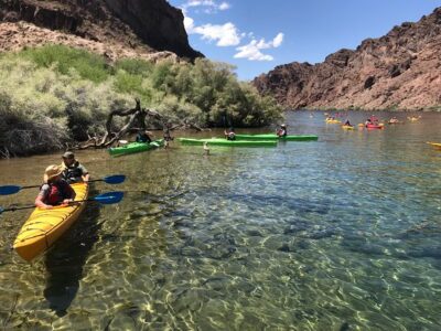 Self-Drive Emerald Cave Kayak Tour: Guided Willow Beach Paddle