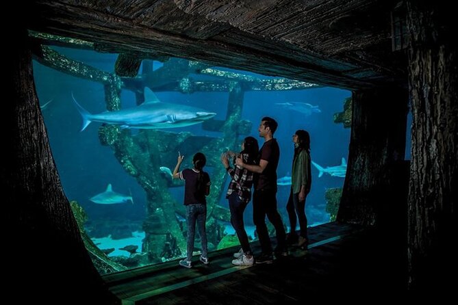 Shark Reef at Mandalay Bay Hotel and Casino - Finish with Undersea Explorer VR