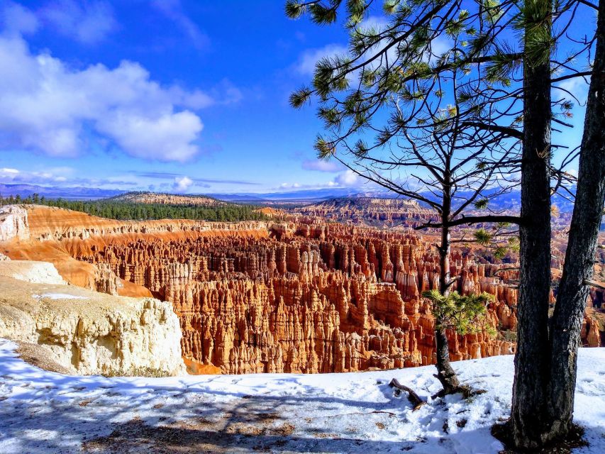 Shuttle between Las Vegas, Bryce, Zion and St George - The driver and service experience