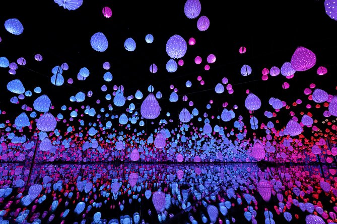 Ticket for ARTE Museum Las Vegas - Key points before you book