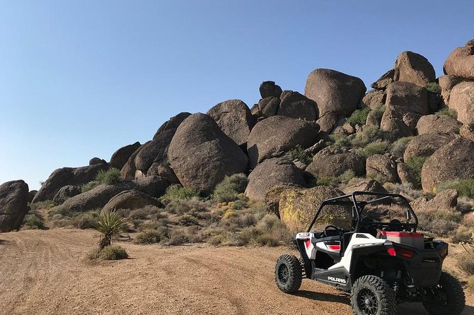 Ultimate Hidden Valley and Primm RZR Adventure from Las Vegas - What the RZR Ride Feels Like