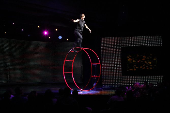 V - The Ultimate Variety Show at Planet Hollywood Resort and Casino - V Show at a Glance