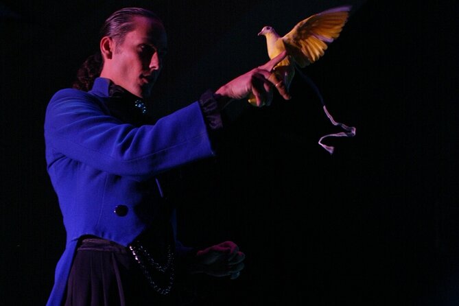 V - The Ultimate Variety Show at Planet Hollywood Resort and Casino - Is It a Good Show for Children?