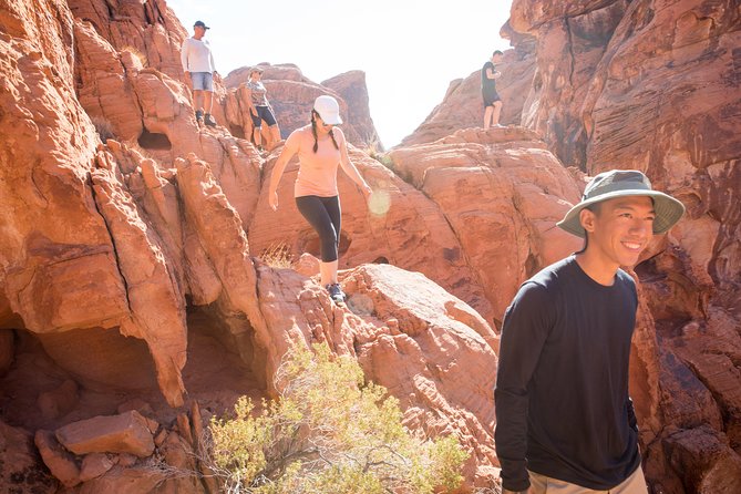 Valley of Fire Guided Hike from Las Vegas - The essentials at a glance