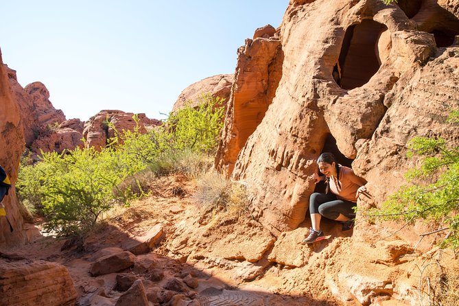 Valley of Fire Guided Hike from Las Vegas - What the $128.99 price covers