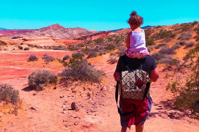 Valley of Fire State Park Day Tour from Las Vegas - The $109 price: where the value lies