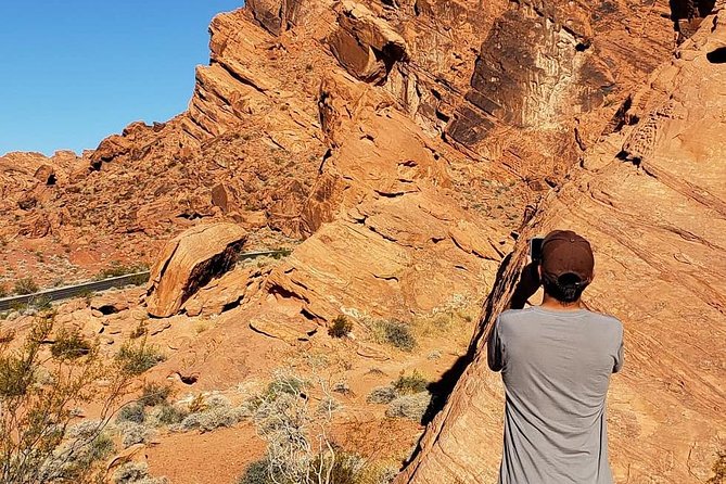 Valley of Fire Tour - Petroglyphs, wildlife and the visitor center
