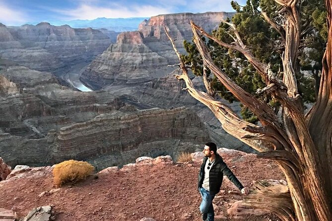 VIP Luxury Grand Canyon West and Hoover Dam with Skywalk - Who should book this trip?