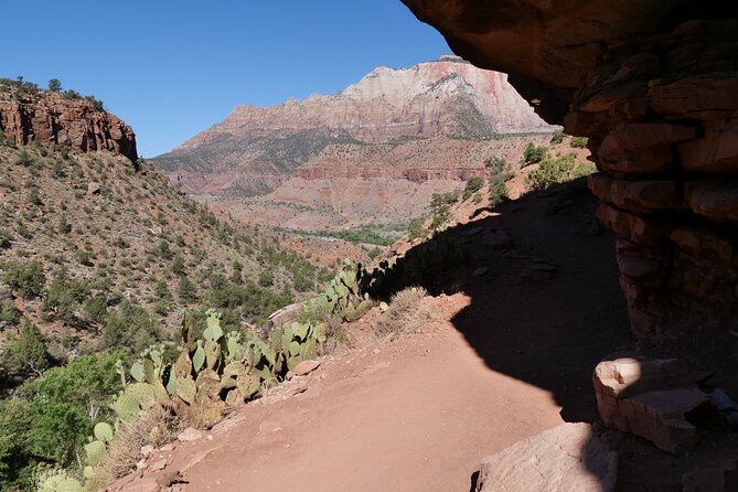 Zion National Park Small Group Tour from Las Vegas - Choosing hikes that fit your day