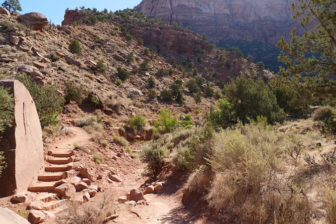 Zion National Park Small Group Tour from Las Vegas - Small group, useful guidance, independent exploring