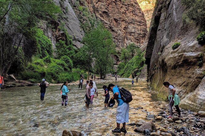 Zion National Park Small Group Tour from Las Vegas - Canyon drive, tunnel, and Checkerboard Mesa